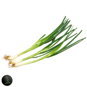 GREEN ONION  1KG