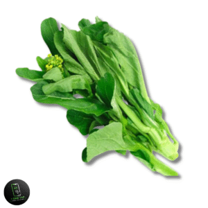 SAAG  BUNDLE